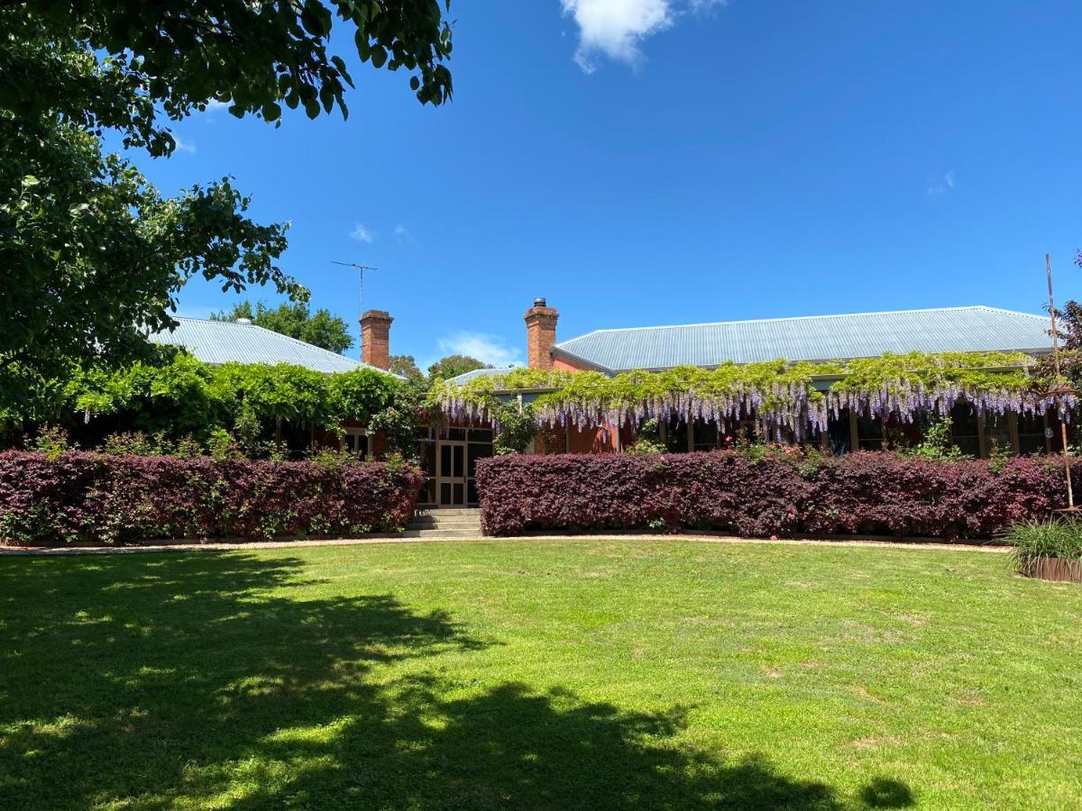 Twelve On Albert Beechworth Extérieur photo