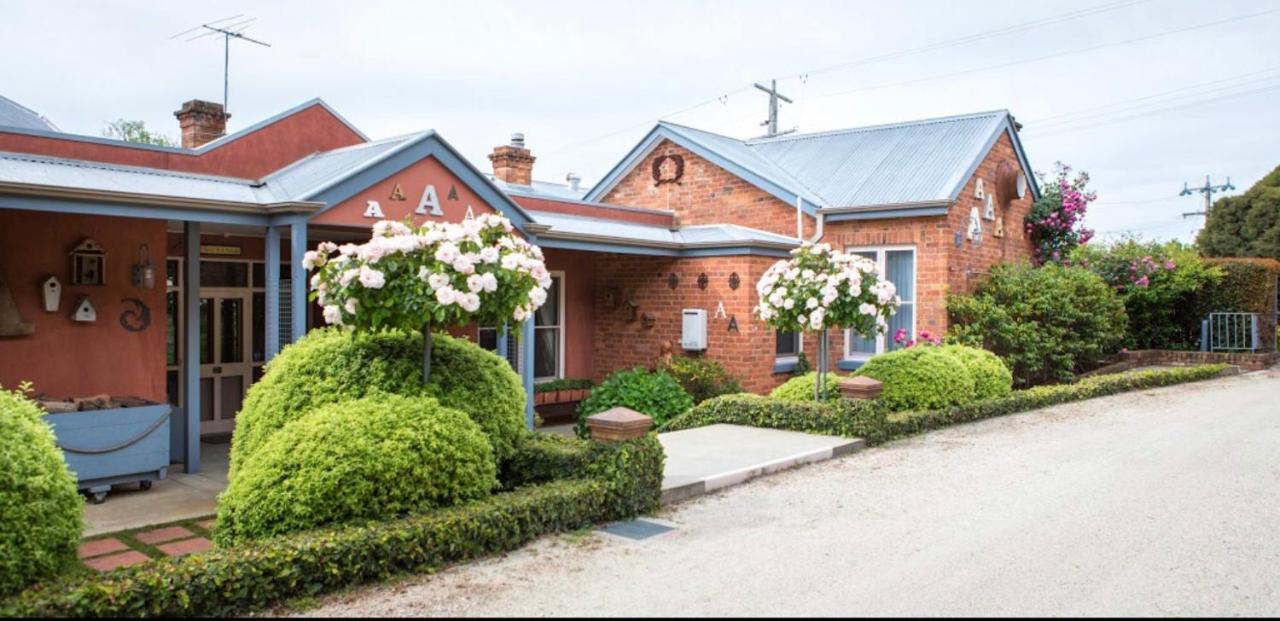 Twelve On Albert Beechworth Extérieur photo