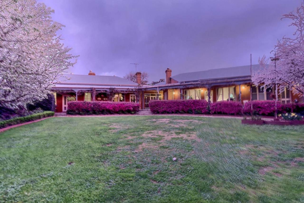 Twelve On Albert Beechworth Extérieur photo
